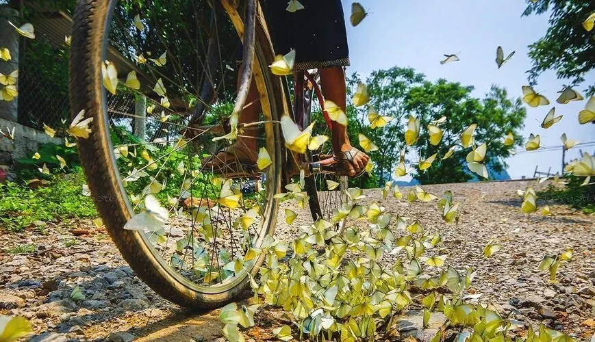 vietnam-tour-packages-19